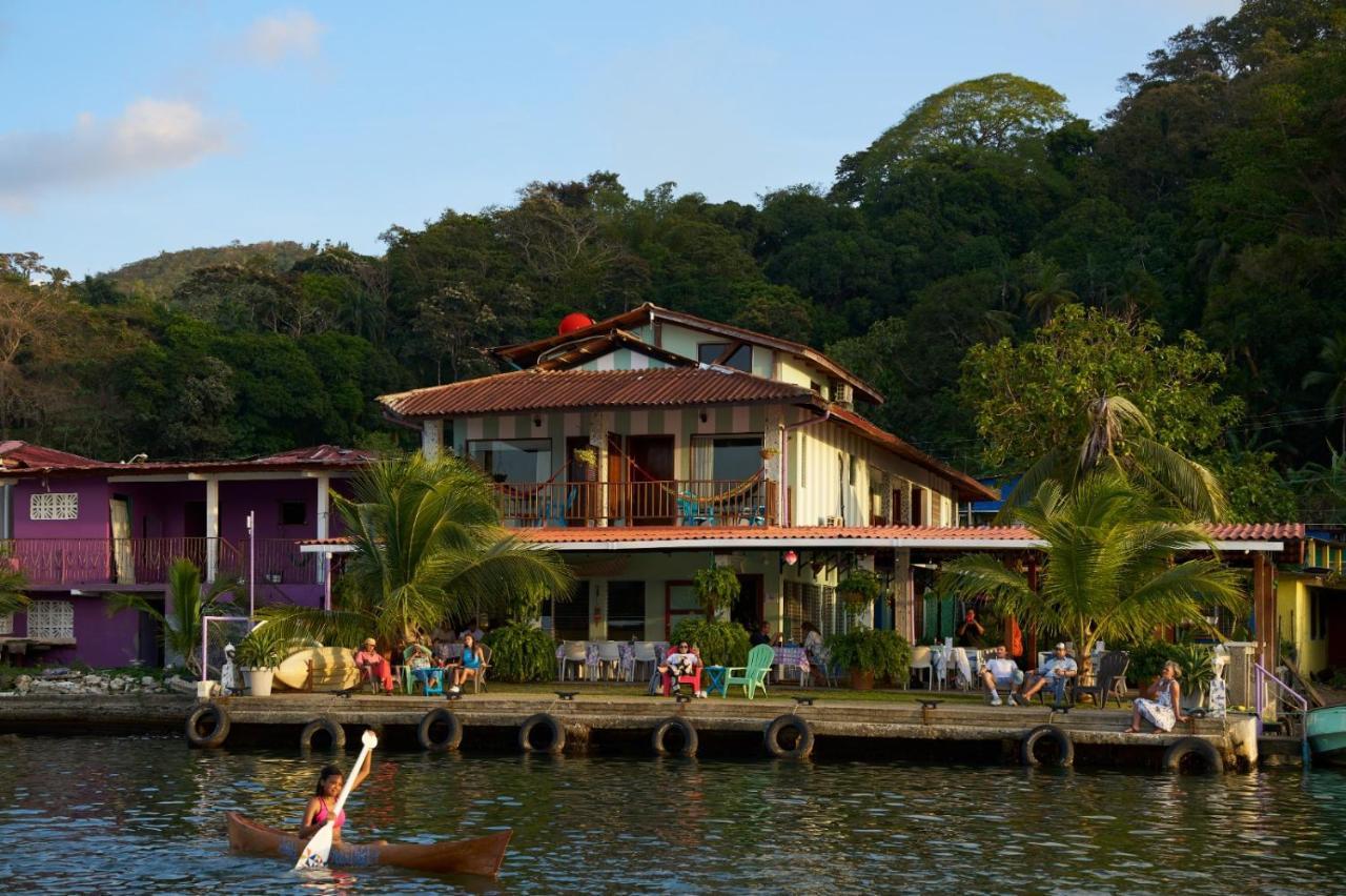 Couette-café Casa Congo & Casa Rayo - Restaurante - Galeria De Arte 3*